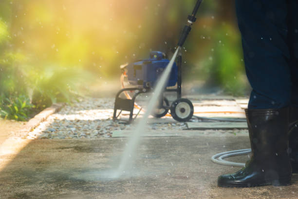 Best Solar Panel Cleaning  in Fate, TX